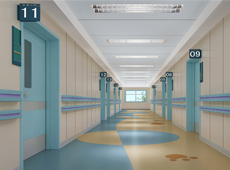 省級(jí)醫(yī)用門(mén)案例